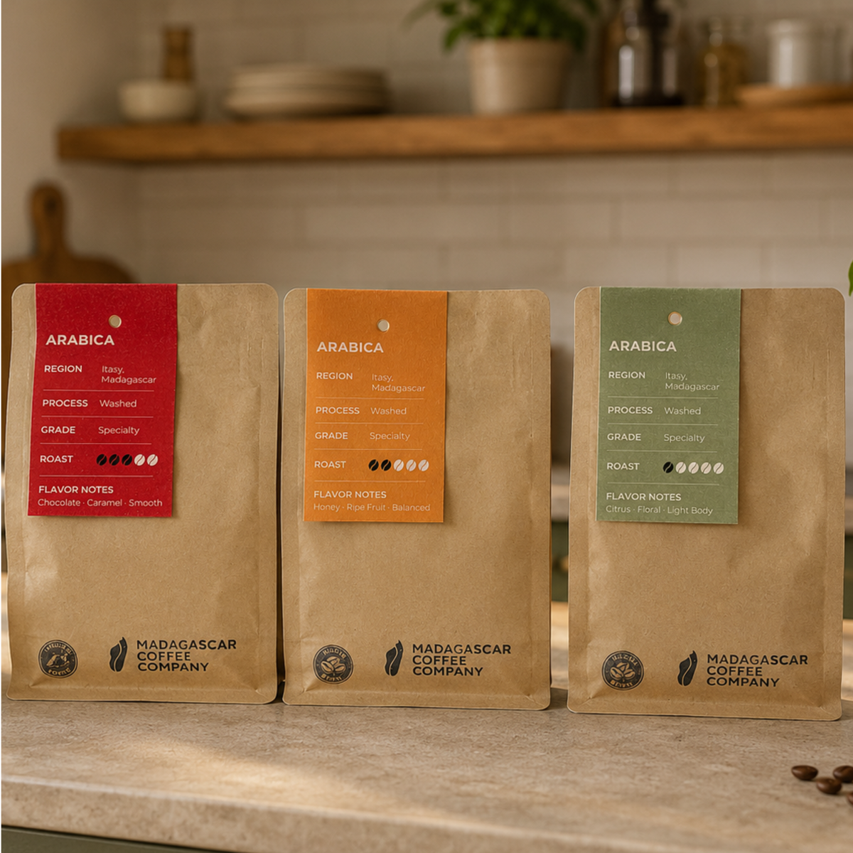 Madagascar Specialty Roast Variety Bundle (12 oz x 3 bags!)