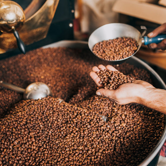 Roasted Coffee Sampler (3 x 12 oz)