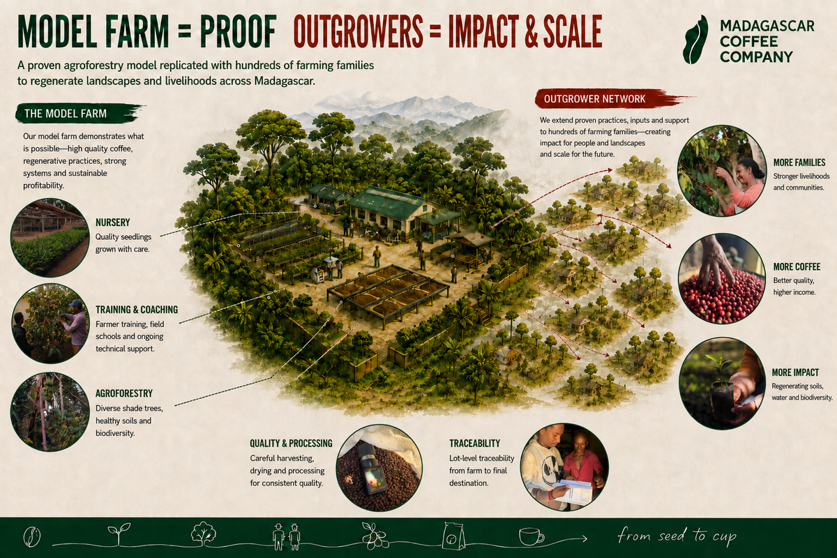 An infographic poster titled 'MODEL FARM = PROOF OUTGROWERS = IMPACT & SCALE' featuring a central 3D illustration of a lush coffee farm in Madagascar. The graphic includes circular inset photos of coffee beans, coffee cherries, and farm activities, supported by text detailing the 'Outgrower Network' and 'The Model Farm' features.