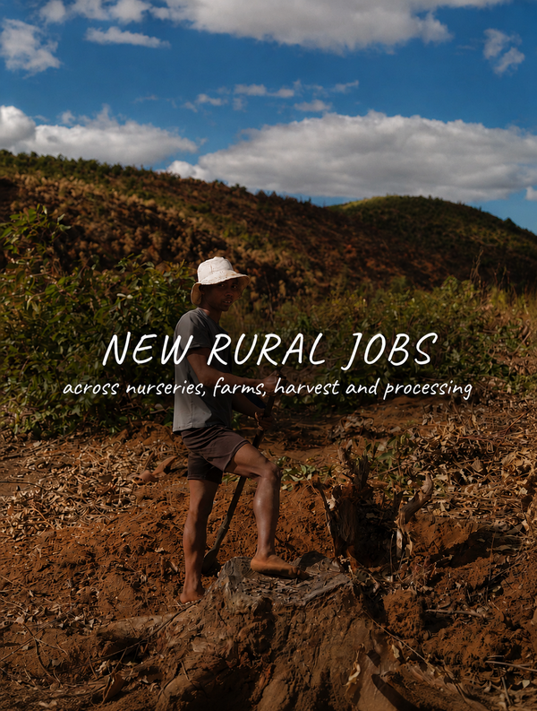 New rural jobs